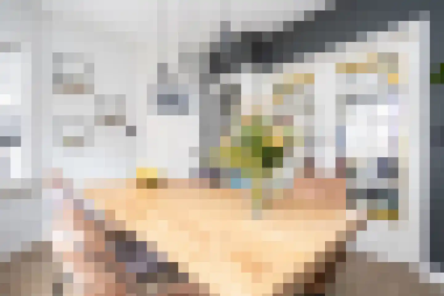Nieuwstraat 24 Berkel en Rodenrijs thumbnail 13