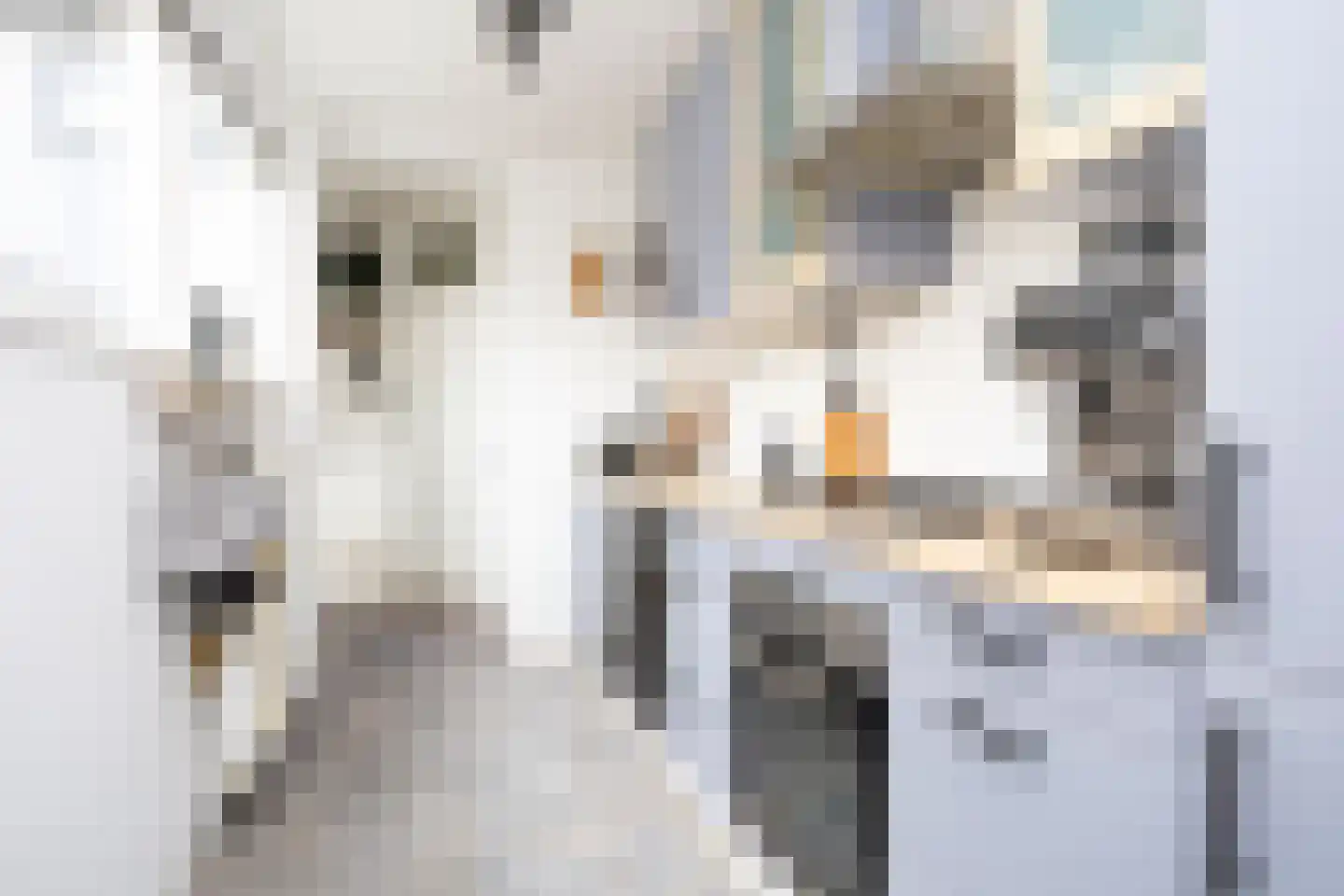 Nieuwstraat 24 Berkel en Rodenrijs thumbnail 15