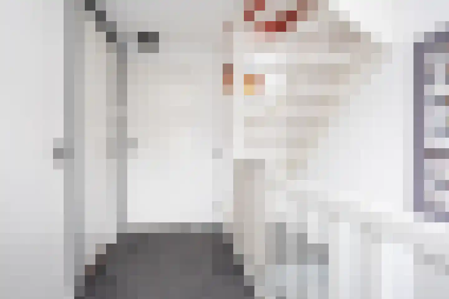 Nieuwstraat 24 Berkel en Rodenrijs thumbnail 19