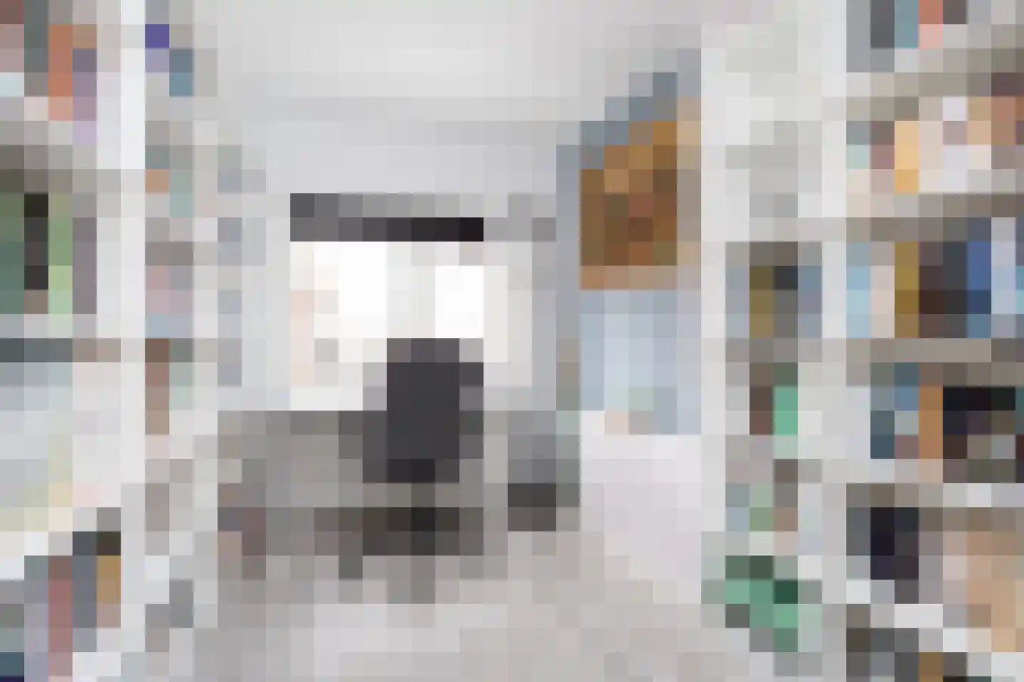 Nieuwstraat 24 Berkel en Rodenrijs thumbnail 22
