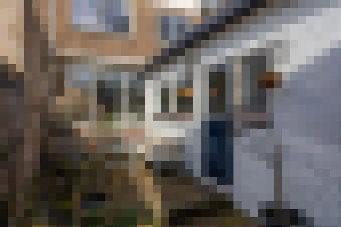 Nieuwstraat 24 Berkel en Rodenrijs thumbnail 35