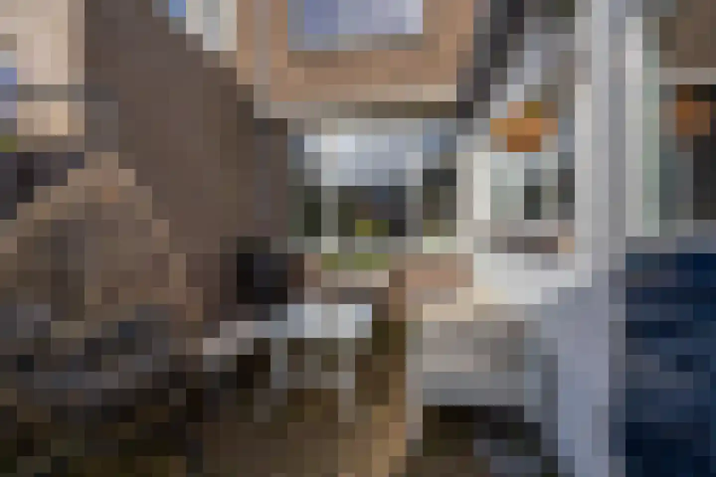 Nieuwstraat 24 Berkel en Rodenrijs thumbnail 36