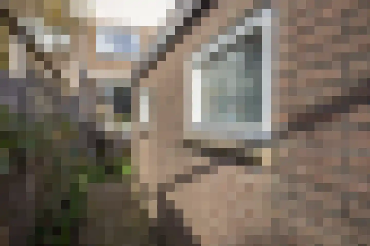 Nieuwstraat 24 Berkel en Rodenrijs thumbnail 38