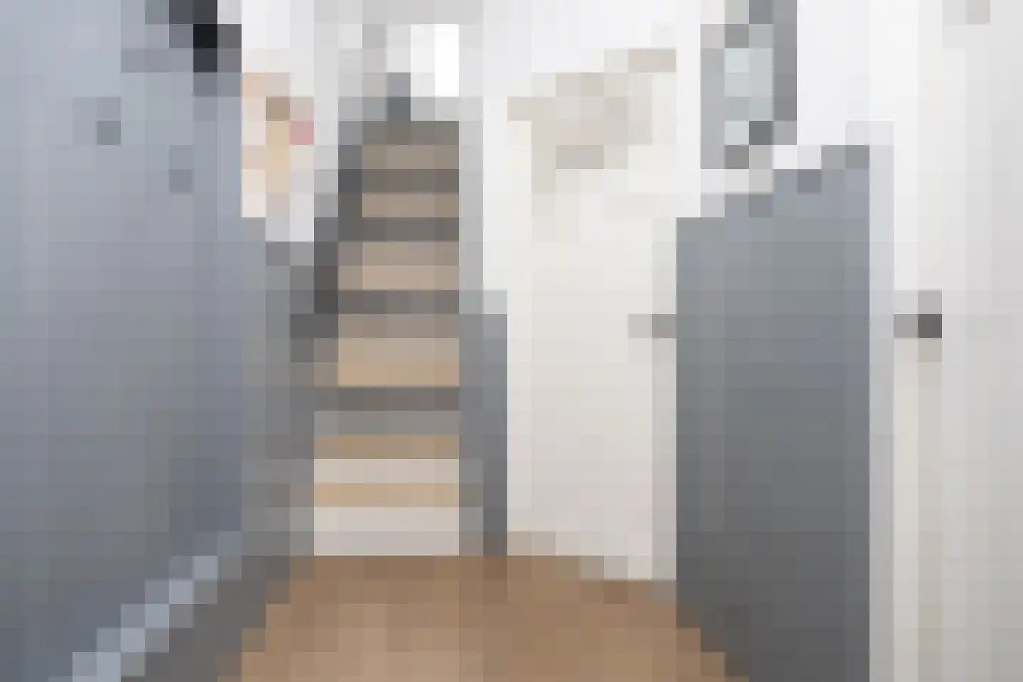 Nieuwstraat 24 Berkel en Rodenrijs thumbnail 4