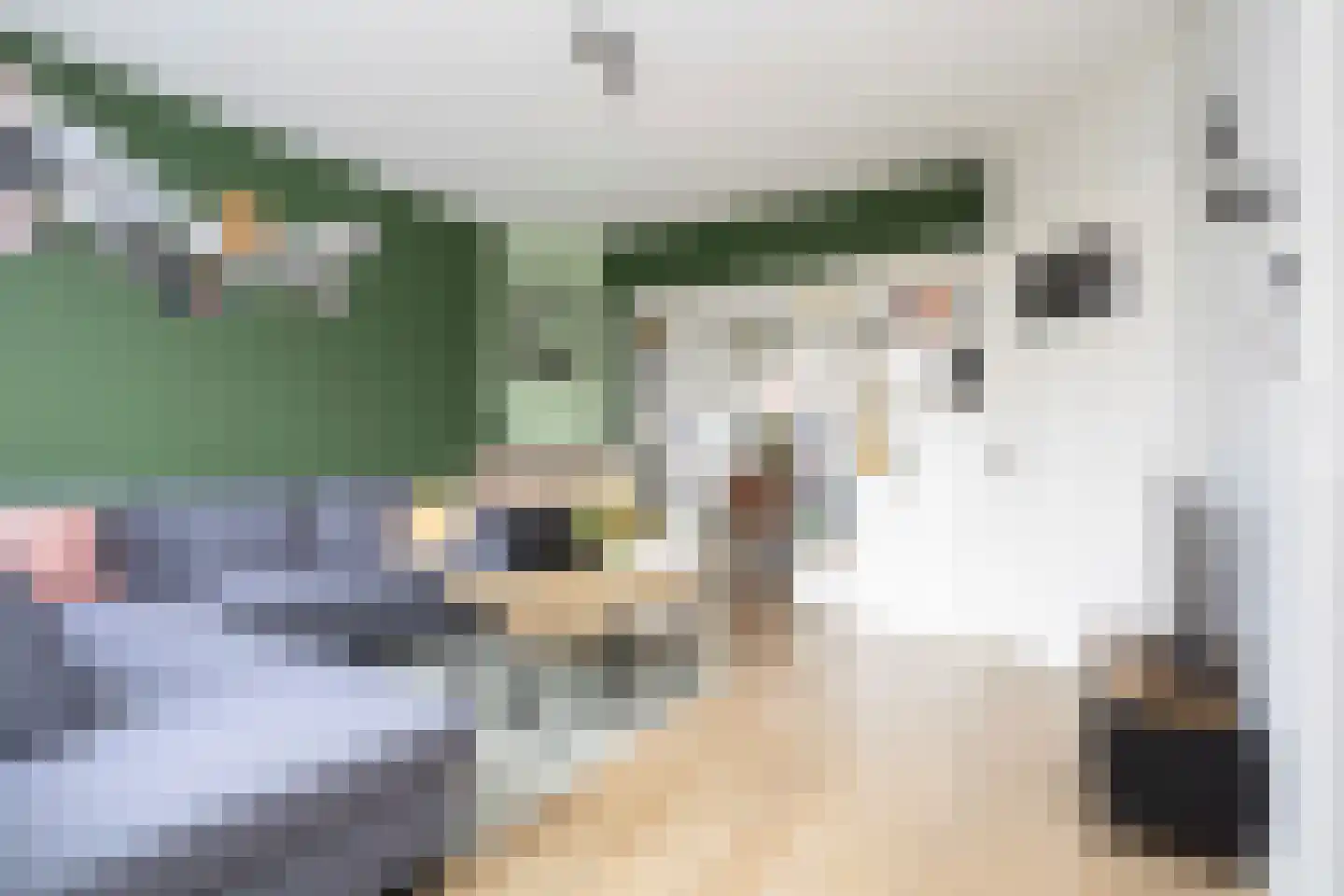 Nieuwstraat 24 Berkel en Rodenrijs thumbnail 5