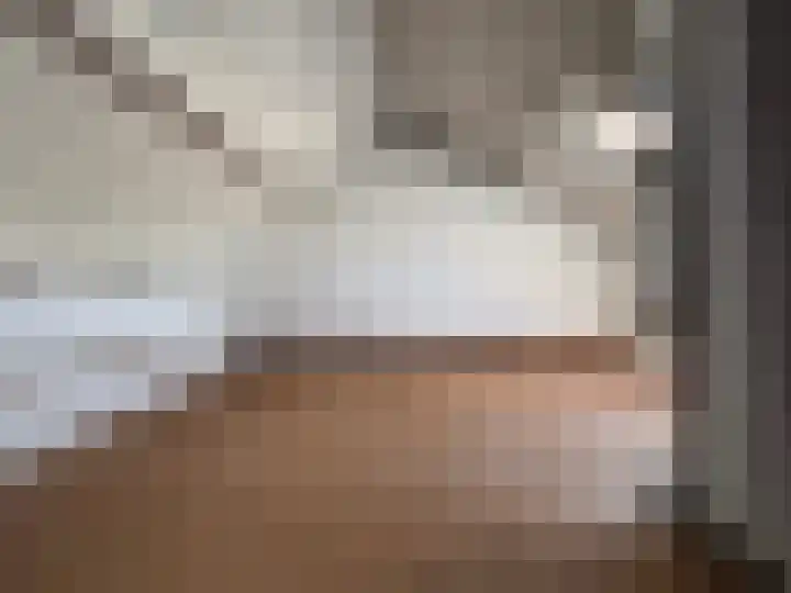 Nieuwstraat 24 Blitterswijck thumbnail 15