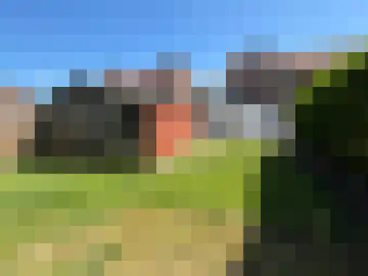Nieuwstraat 24 Blitterswijck thumbnail 19