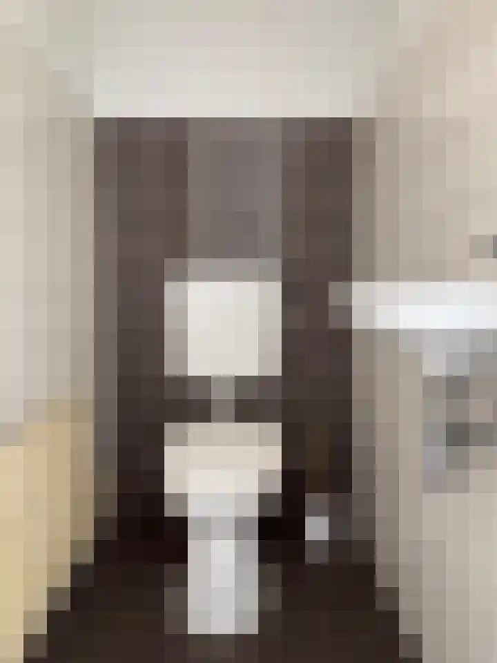 Nieuwstraat 24 Blitterswijck thumbnail 9