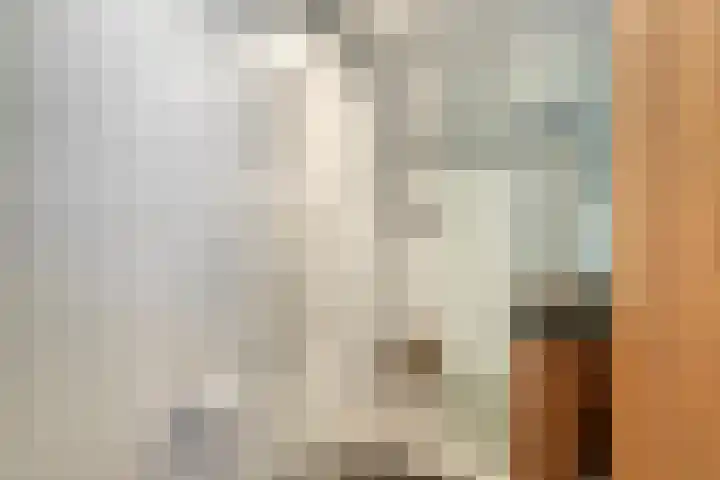 Nieuwstraat 24 Brielle thumbnail 13
