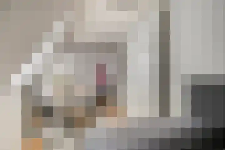 Nieuwstraat 24 Brielle thumbnail 15