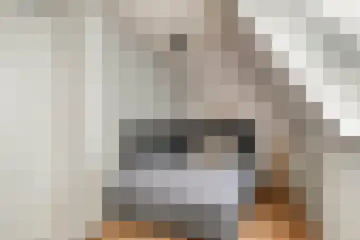Nieuwstraat 24 Brielle thumbnail 18