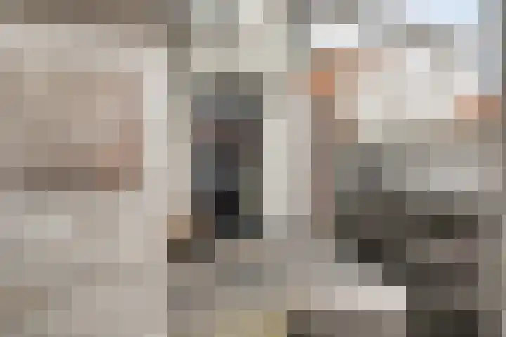 Nieuwstraat 24 Brielle thumbnail 23