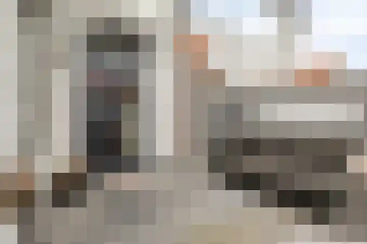 Nieuwstraat 24 Brielle thumbnail 24