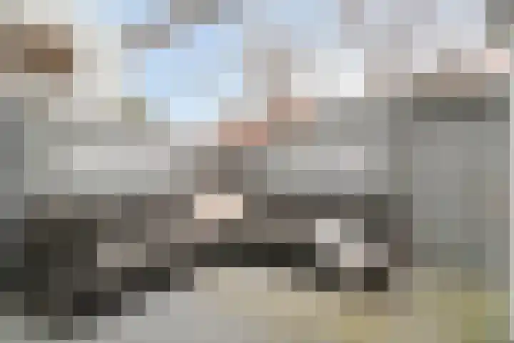 Nieuwstraat 24 Brielle thumbnail 26