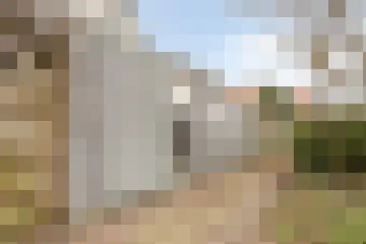 Nieuwstraat 24 Brielle thumbnail 27