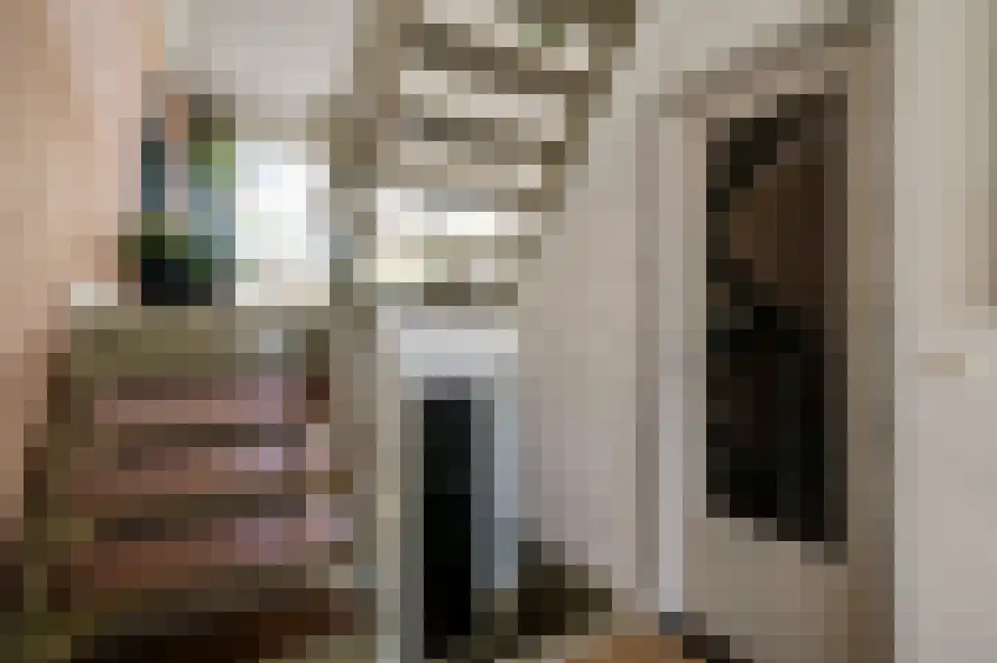 Nieuwstraat 24 Horst thumbnail 10