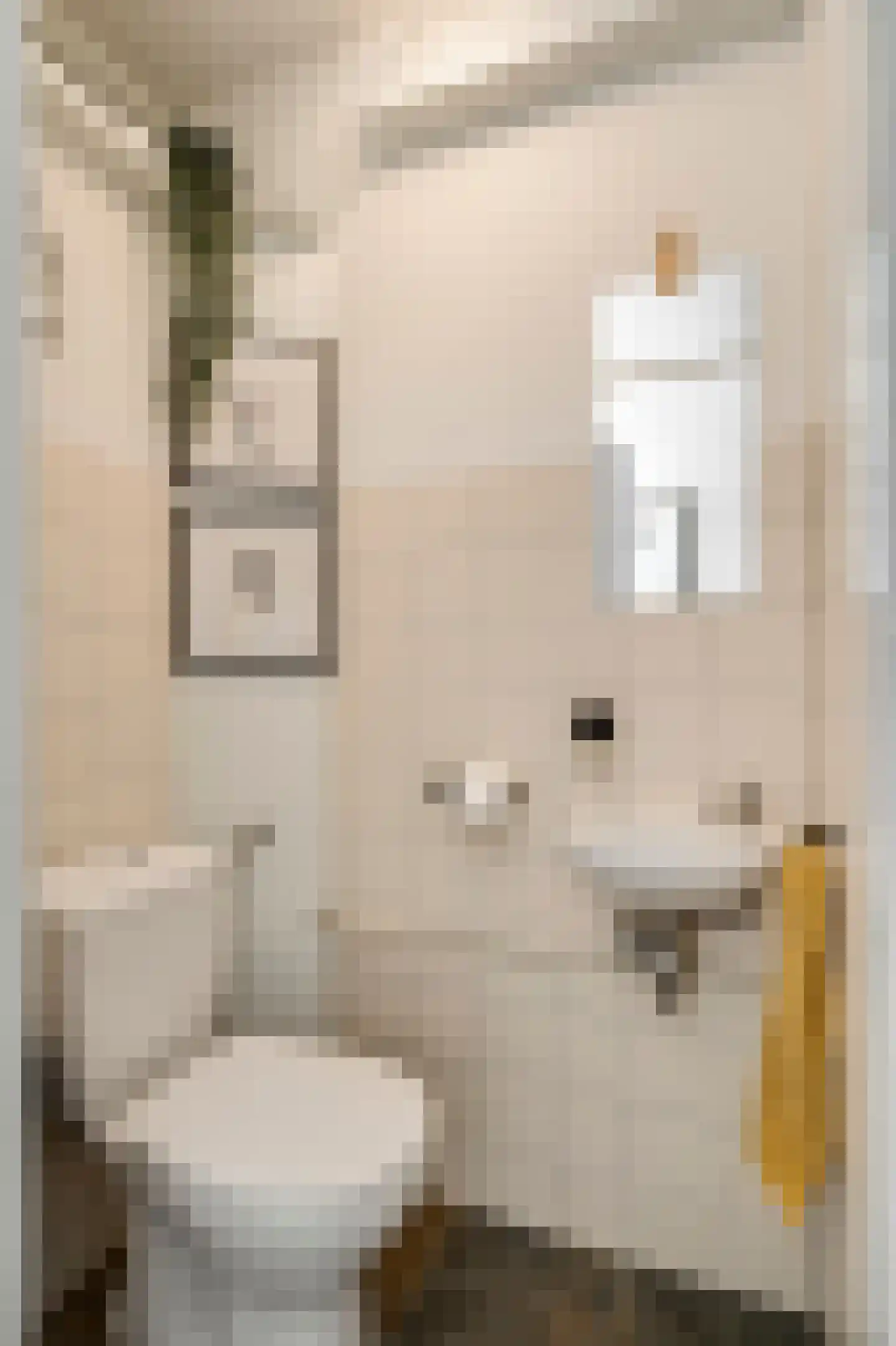 Nieuwstraat 24 Horst thumbnail 13