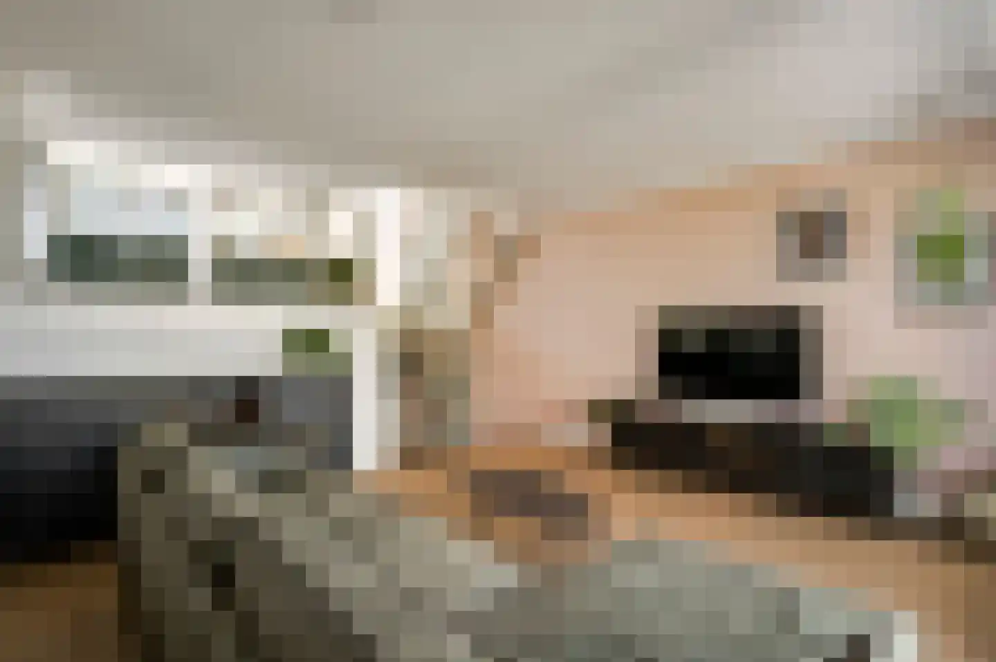 Nieuwstraat 24 Horst thumbnail 19