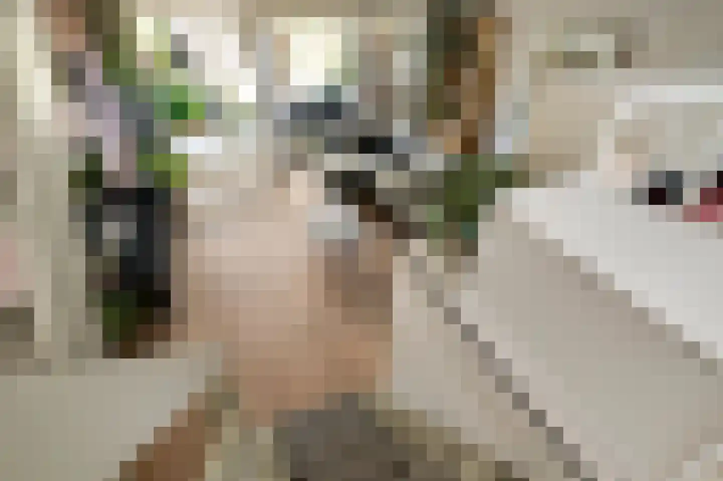 Nieuwstraat 24 Horst thumbnail 21