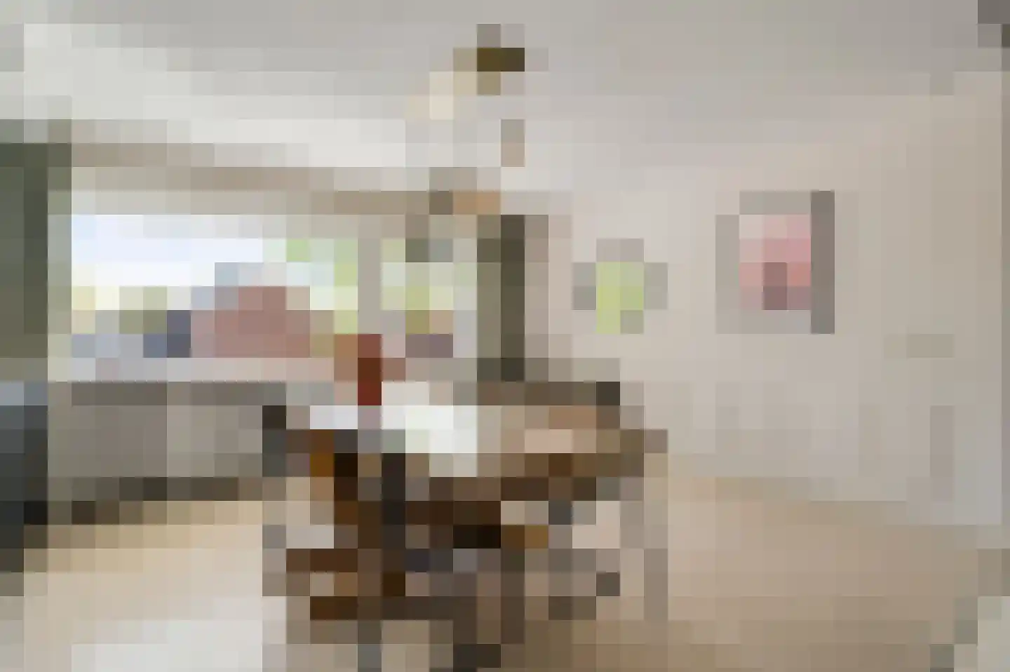 Nieuwstraat 24 Horst thumbnail 23