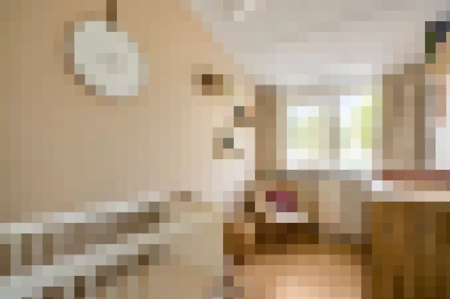 Nieuwstraat 24 Horst thumbnail 35