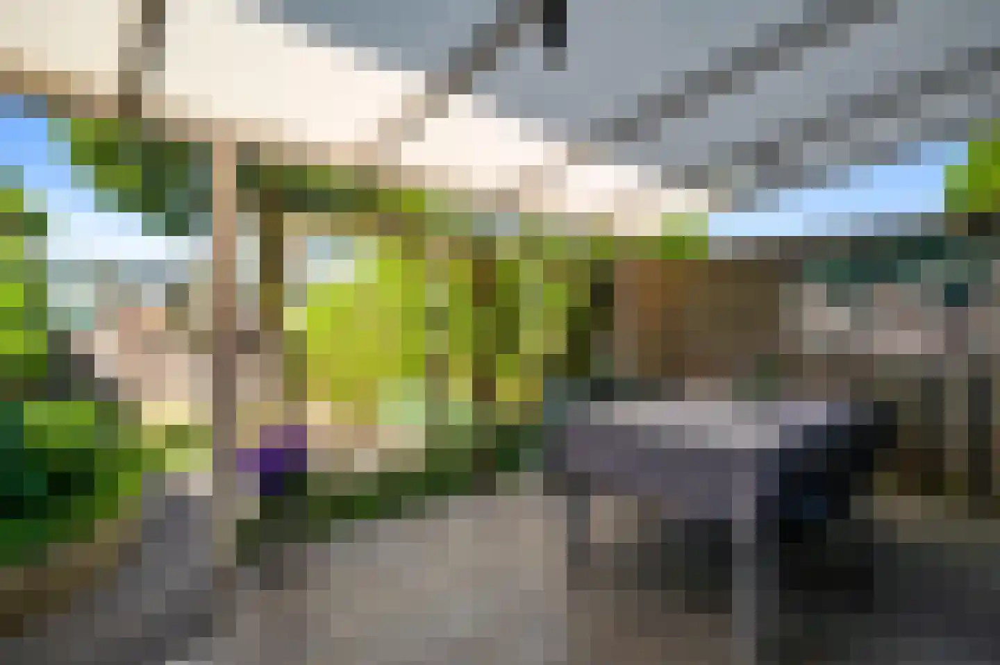 Nieuwstraat 24 Horst thumbnail 4