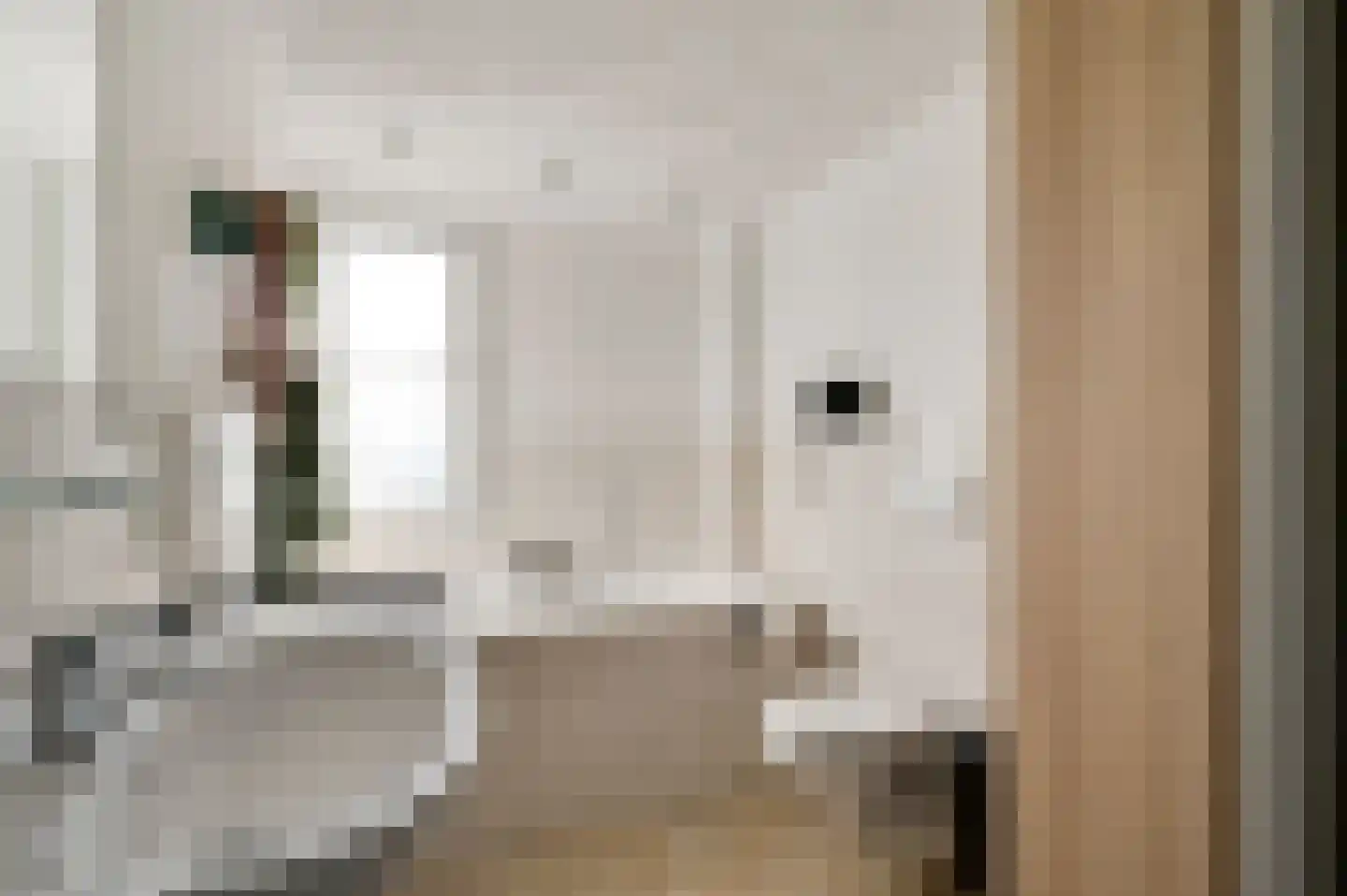 Nieuwstraat 24 Horst thumbnail 41