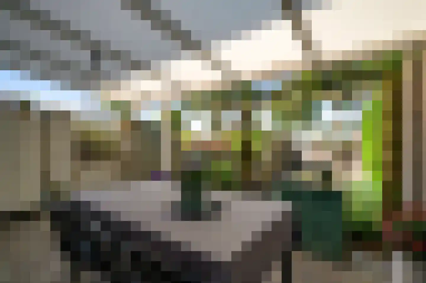 Nieuwstraat 24 Horst thumbnail 44