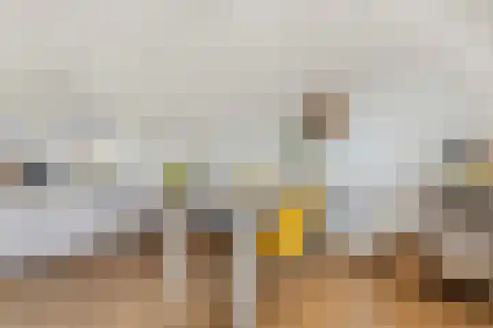 Nieuwstraat 247 Apeldoorn thumbnail 13
