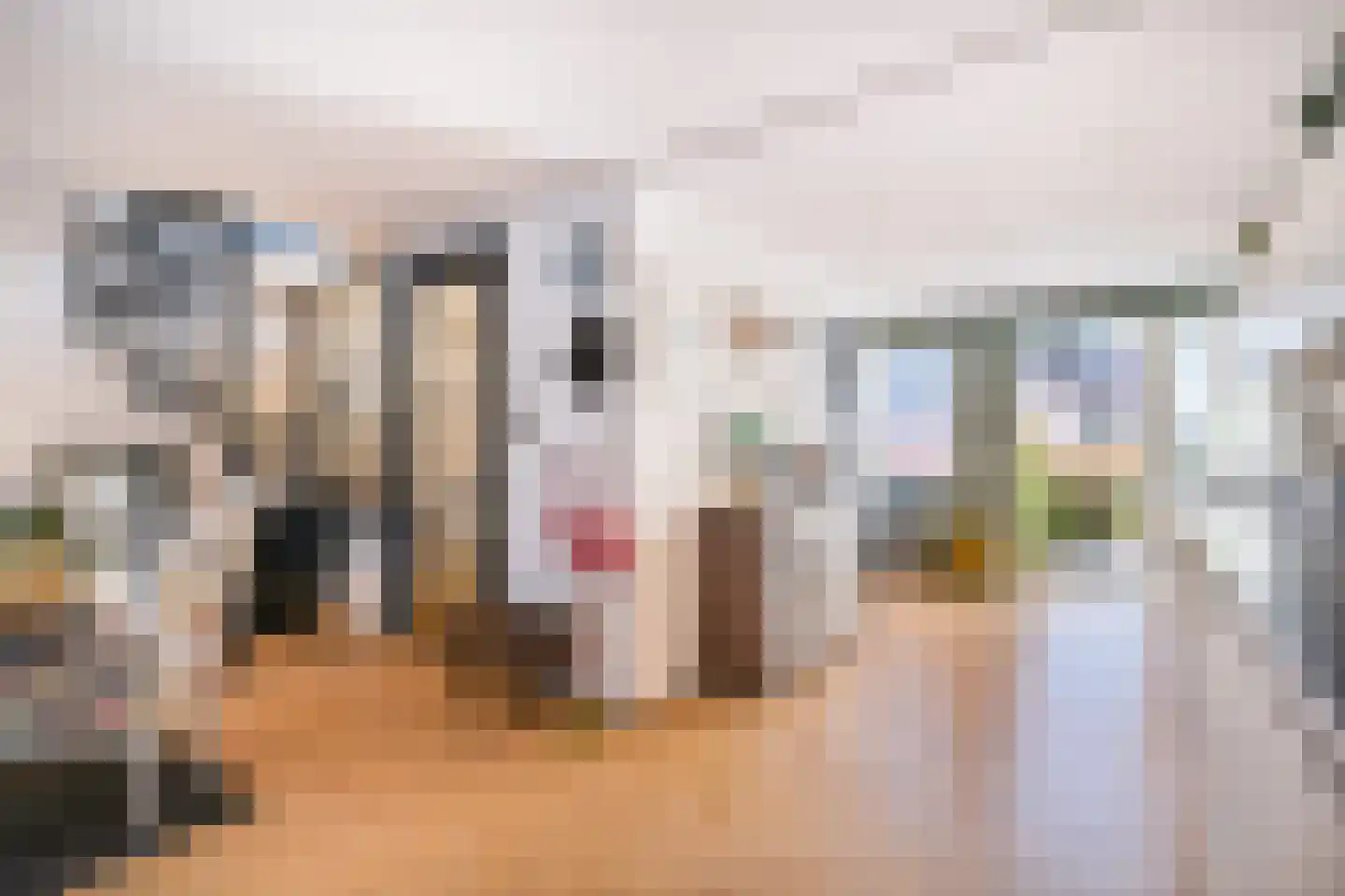 Nieuwstraat 25 A Den Haag thumbnail 4