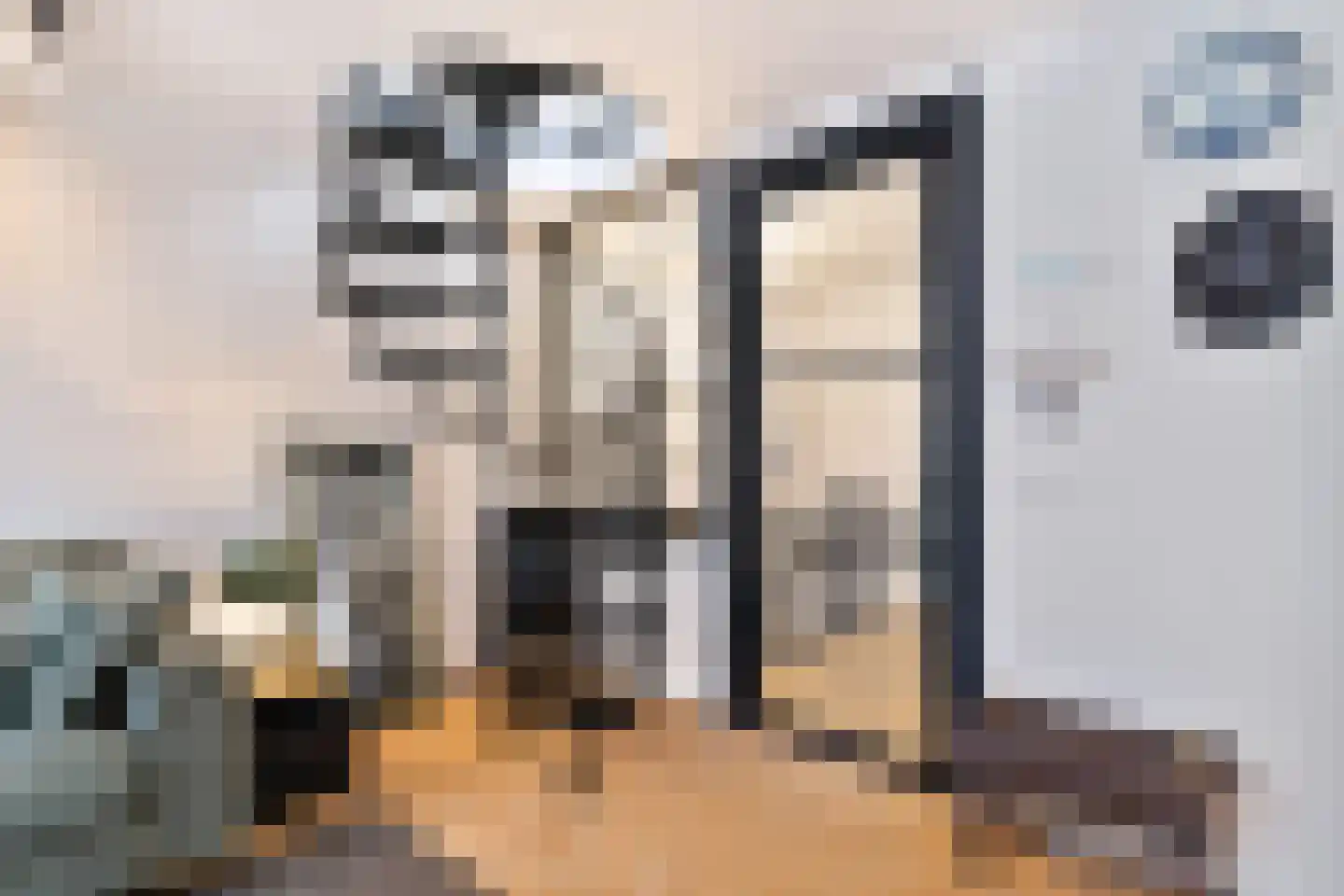 Nieuwstraat 25 A Den Haag thumbnail 8