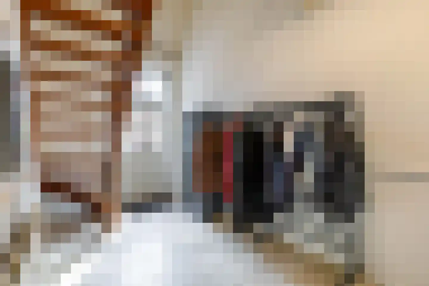 Nieuwstraat 25 Appingedam thumbnail 11