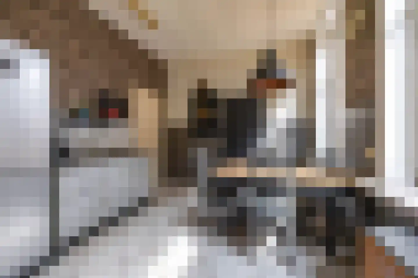 Nieuwstraat 25 Appingedam thumbnail 26