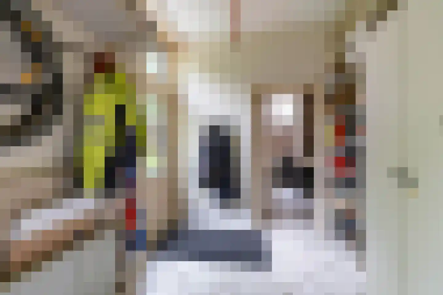 Nieuwstraat 25 Appingedam thumbnail 30