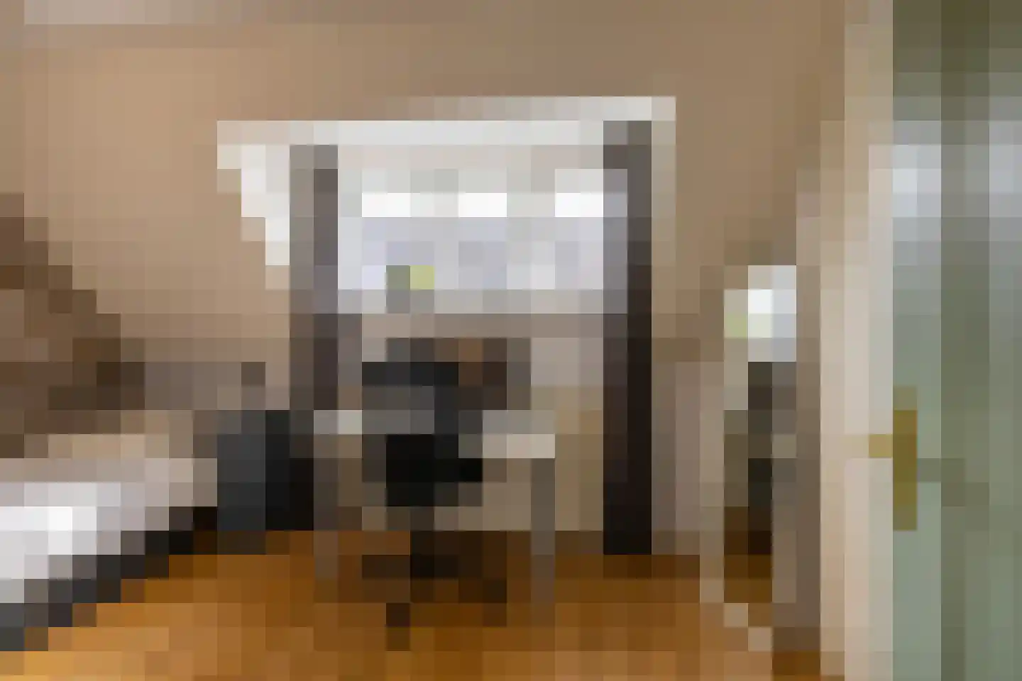 Nieuwstraat 25 Appingedam thumbnail 34