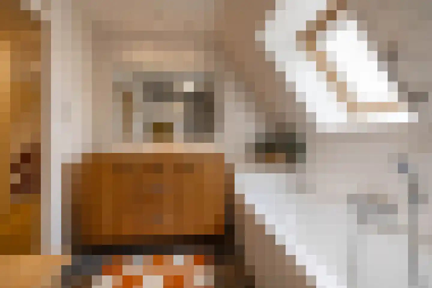 Nieuwstraat 25 Appingedam thumbnail 38