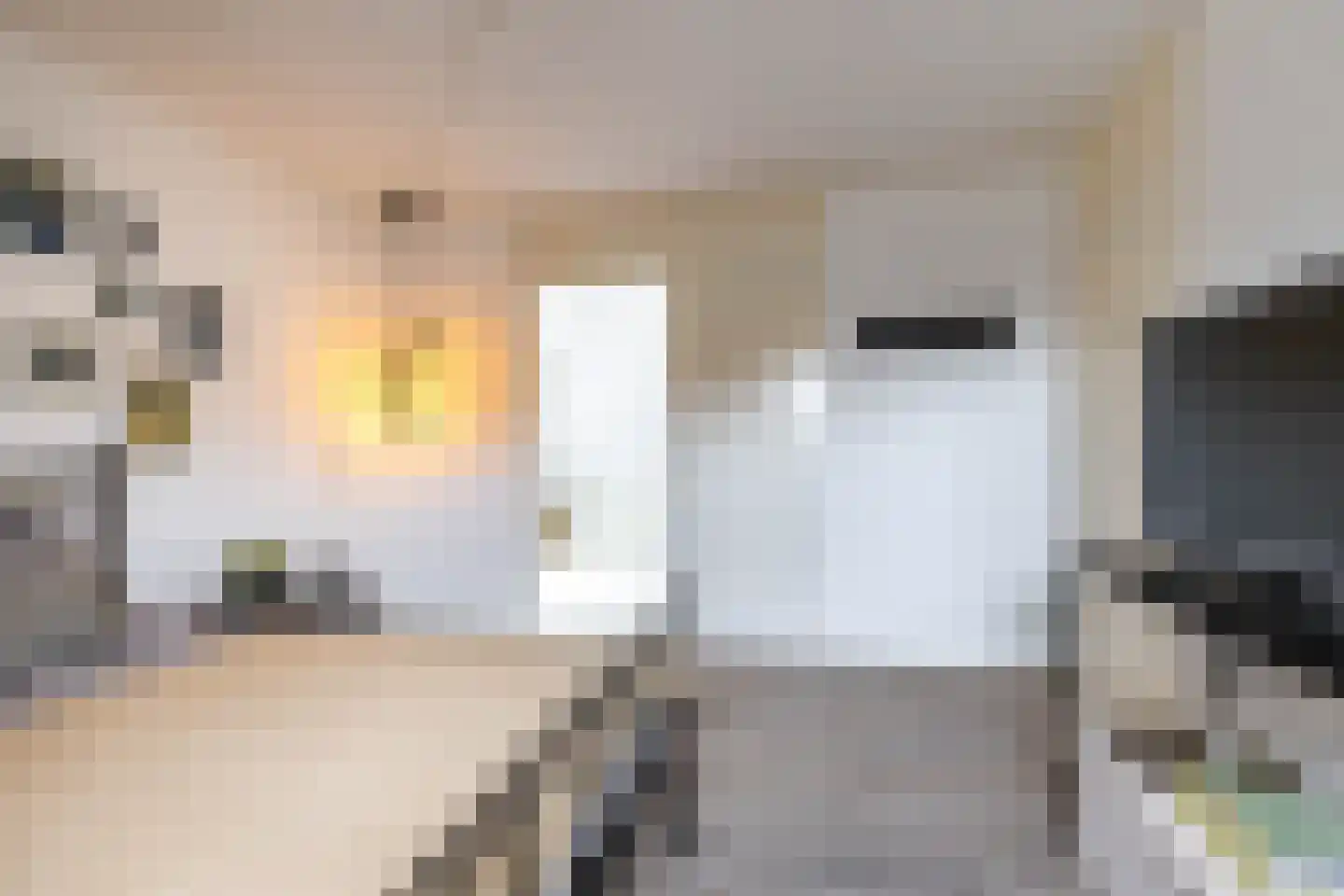 Nieuwstraat 25 Appingedam thumbnail 41