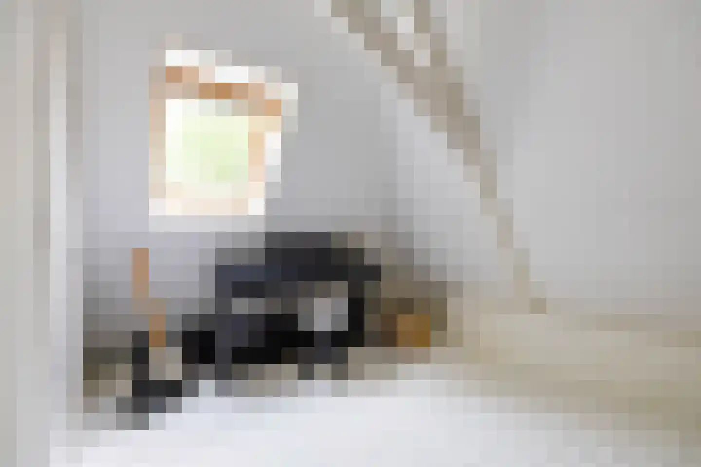 Nieuwstraat 25 Appingedam thumbnail 42