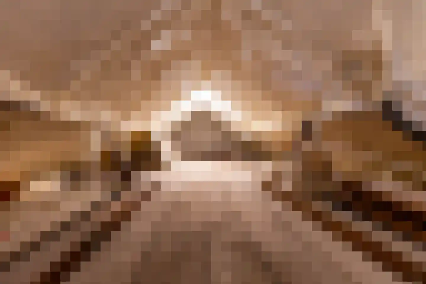 Nieuwstraat 25 Appingedam thumbnail 46