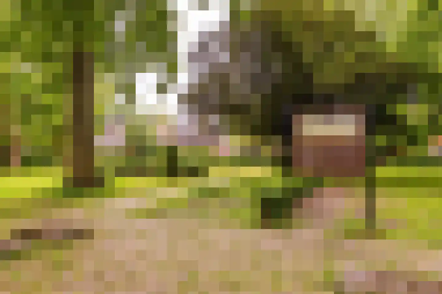 Nieuwstraat 25 Appingedam thumbnail 52