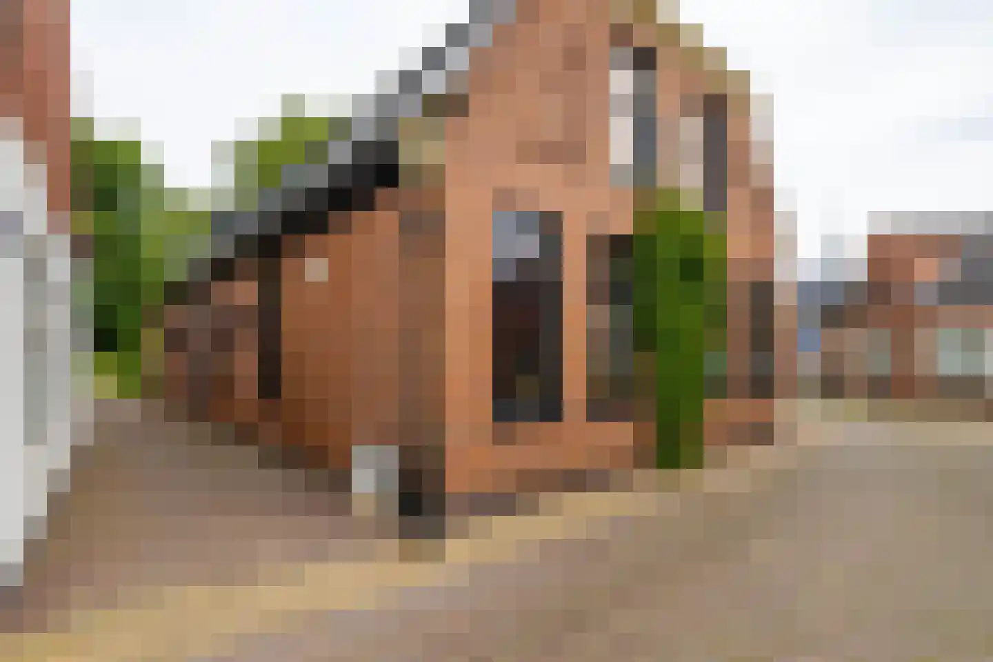 Nieuwstraat 25 Appingedam thumbnail 7