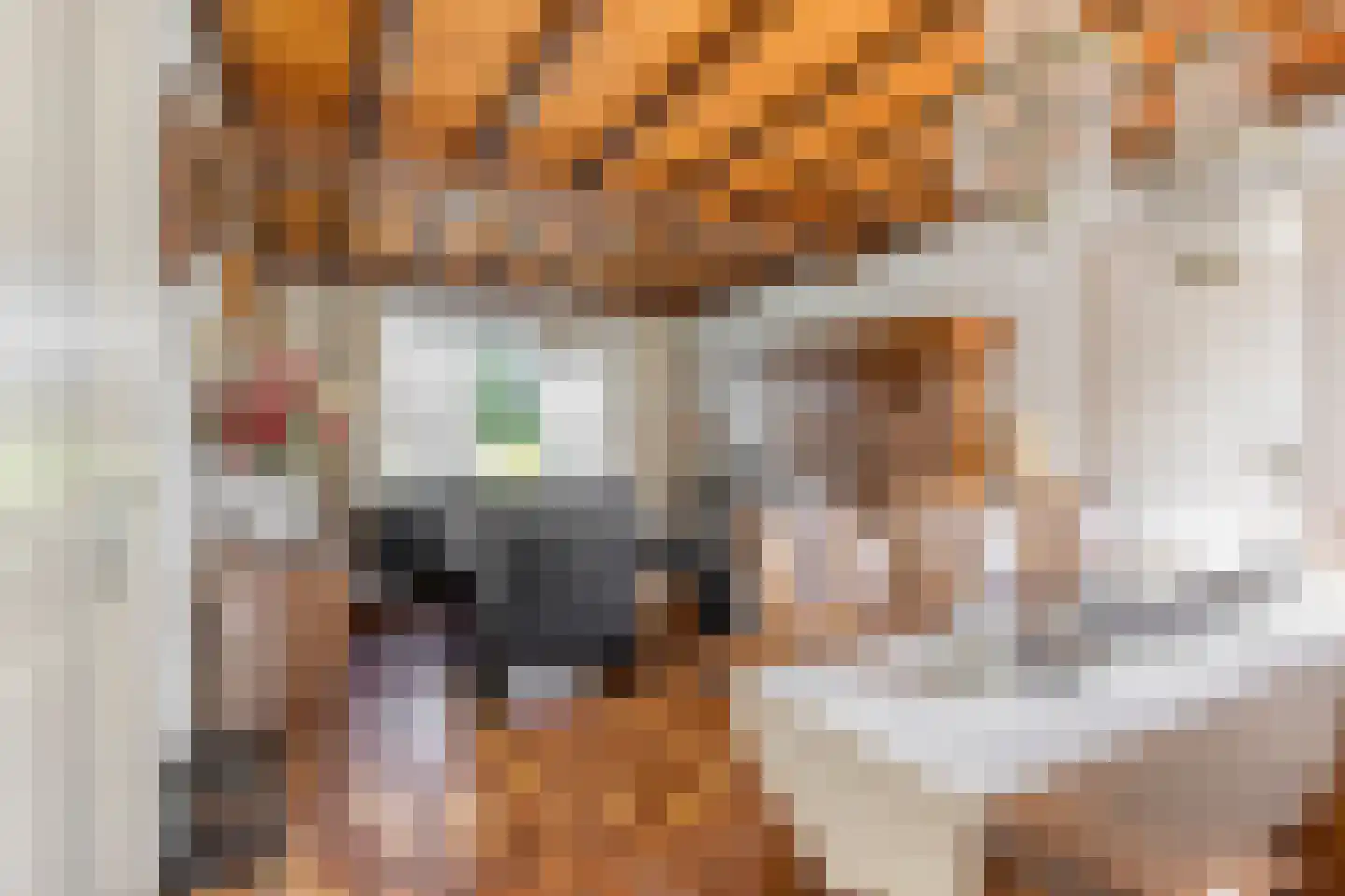 Nieuwstraat 25 Liessel thumbnail 12