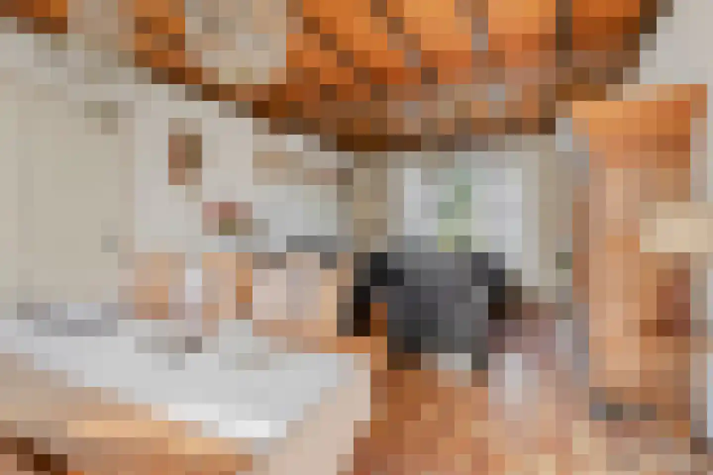 Nieuwstraat 25 Liessel thumbnail 13