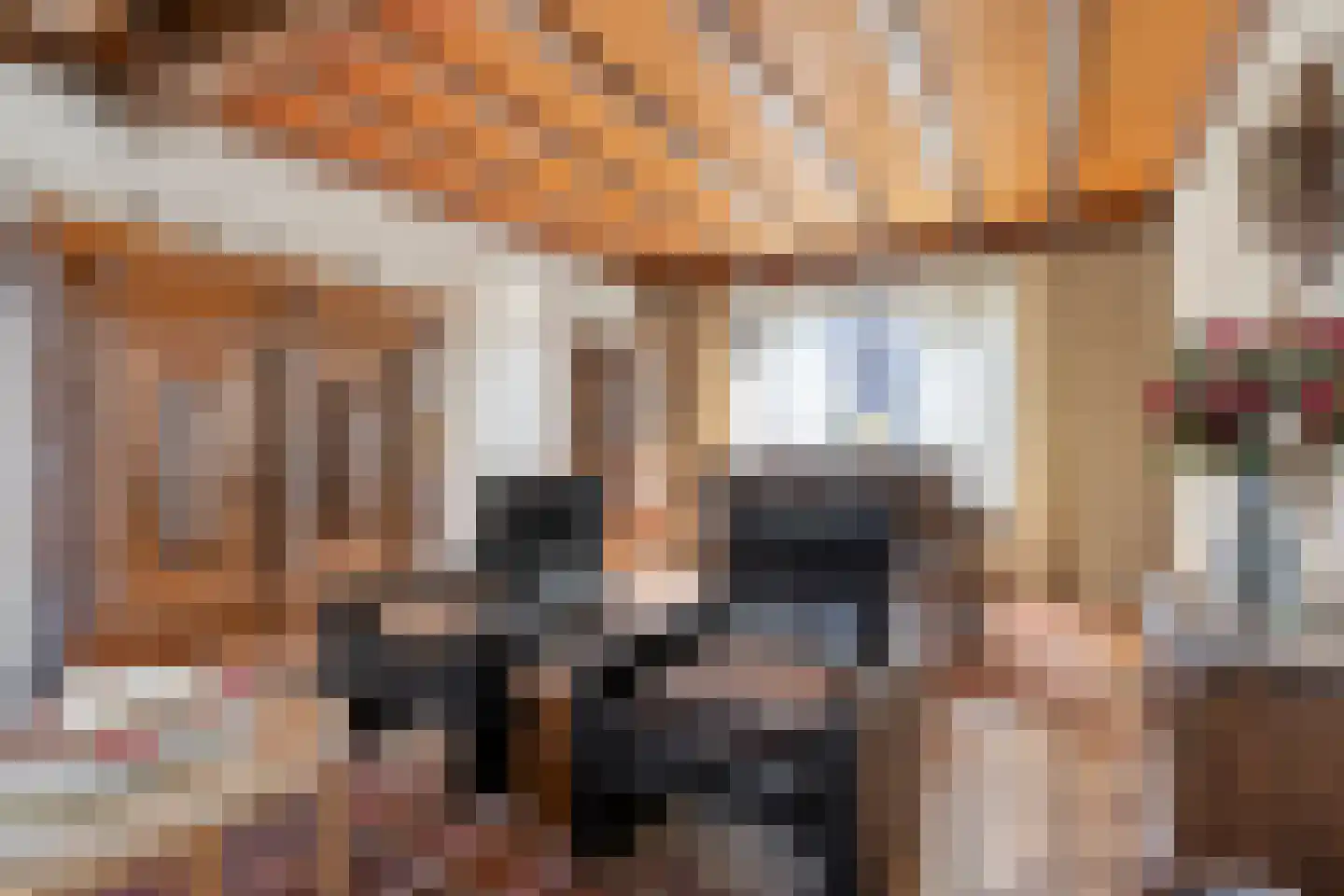 Nieuwstraat 25 Liessel thumbnail 14