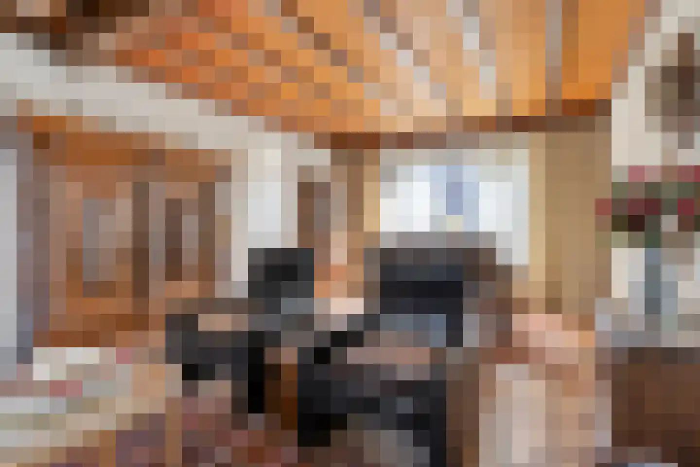 Nieuwstraat 25 Liessel thumbnail 14