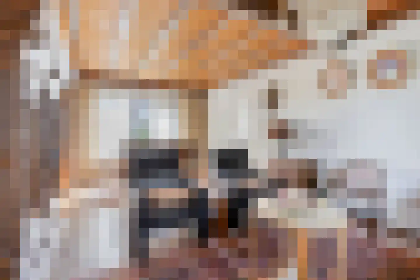Nieuwstraat 25 Liessel thumbnail 15
