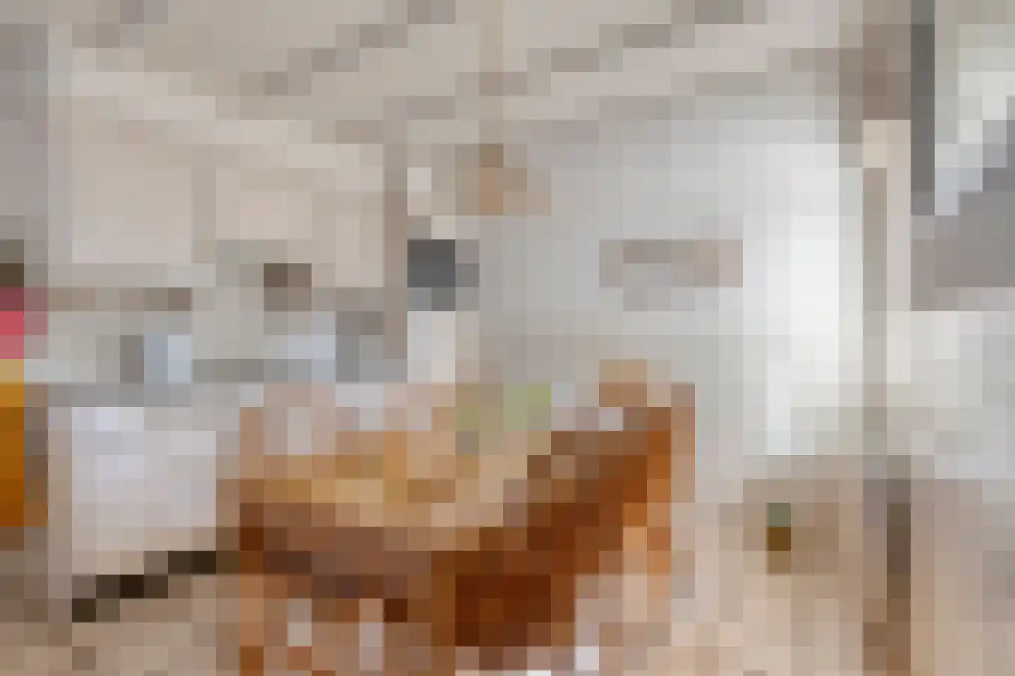 Nieuwstraat 25 Liessel thumbnail 16