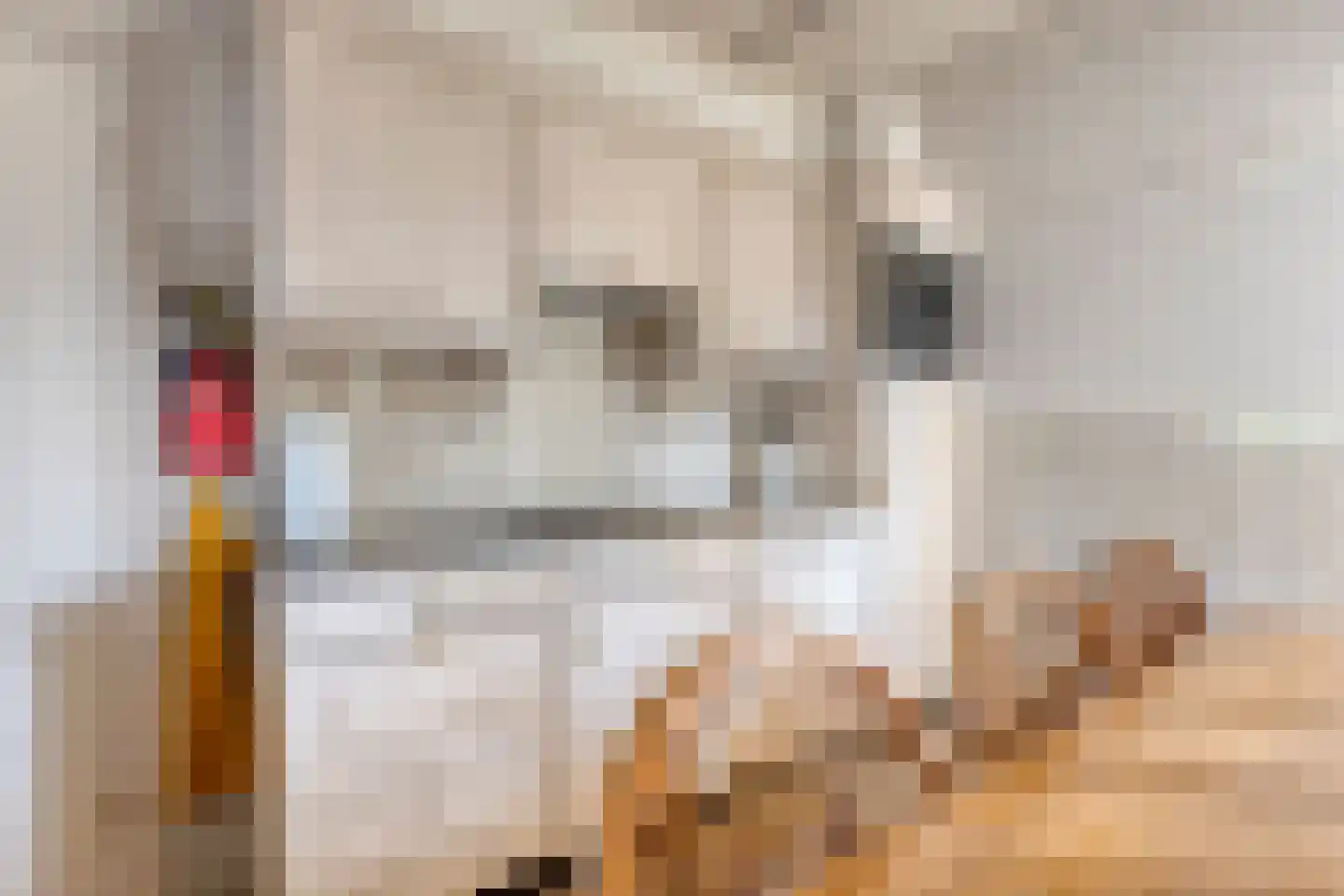 Nieuwstraat 25 Liessel thumbnail 18