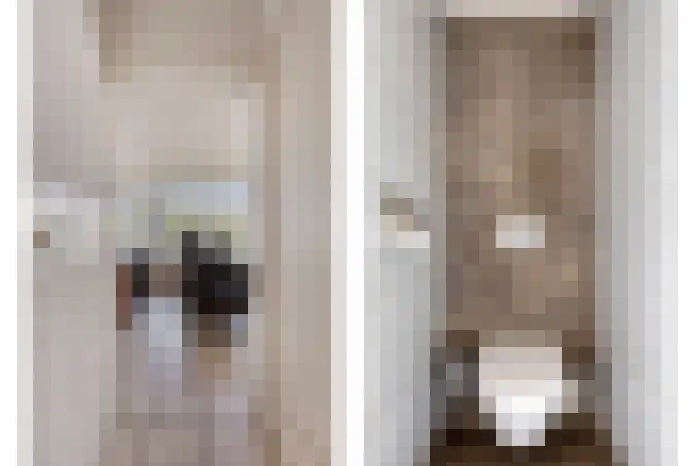 Nieuwstraat 25 Liessel thumbnail 19