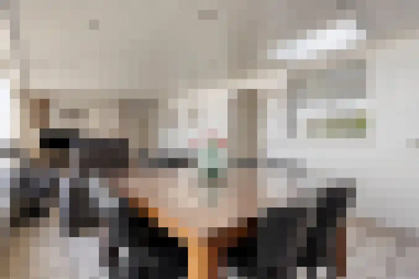 Nieuwstraat 25 Liessel thumbnail 20